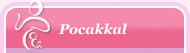 Pocakkal